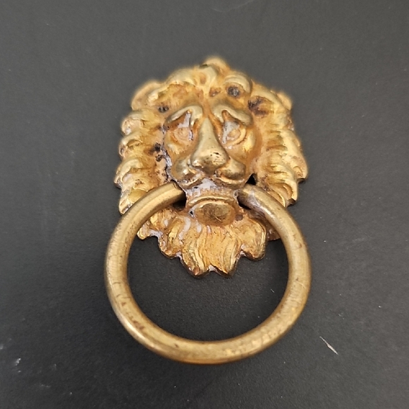 Other - Gold Lion Head Drawer Pull Knob🎲